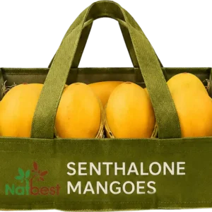 Family Bag