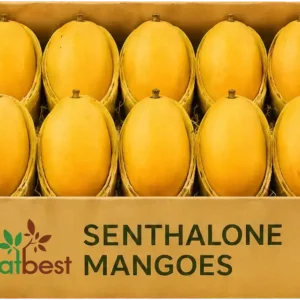 Premium Carton